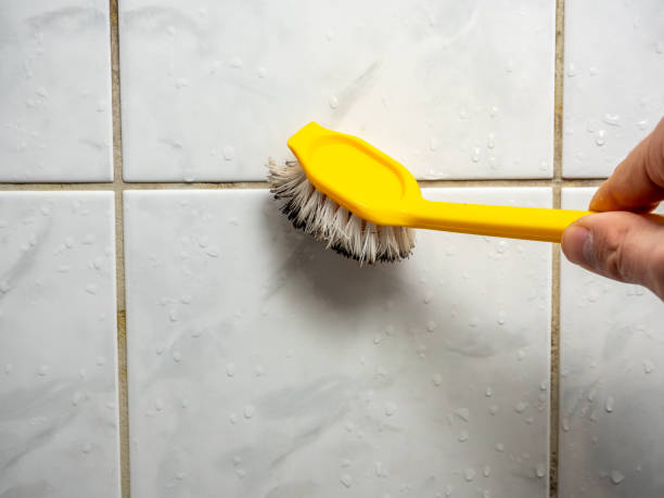 Best Emergency Mold Removal  in Raymond, WA