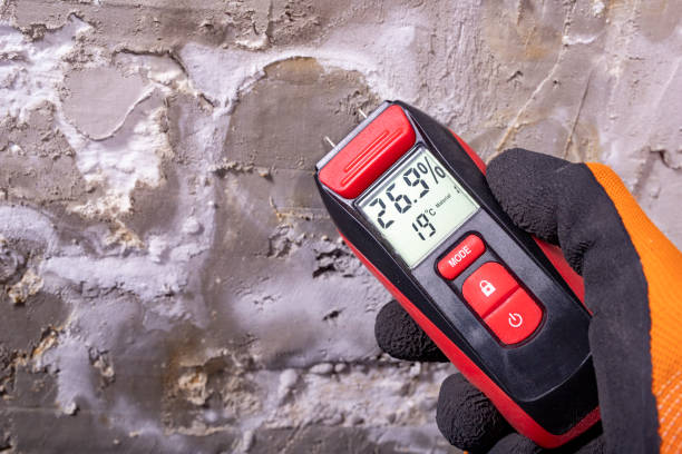 Best Professional Mold Removal  in Raymond, WA