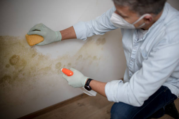 Best Crawl Space Mold Removal  in Raymond, WA
