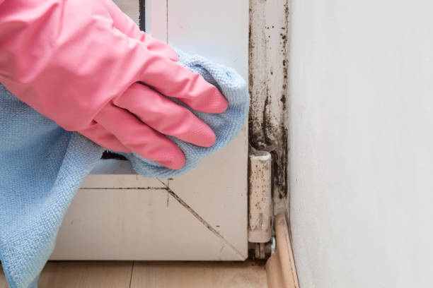 Best Crawl Space Mold Removal  in Raymond, WA